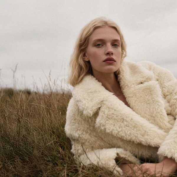 Free Shipping within India